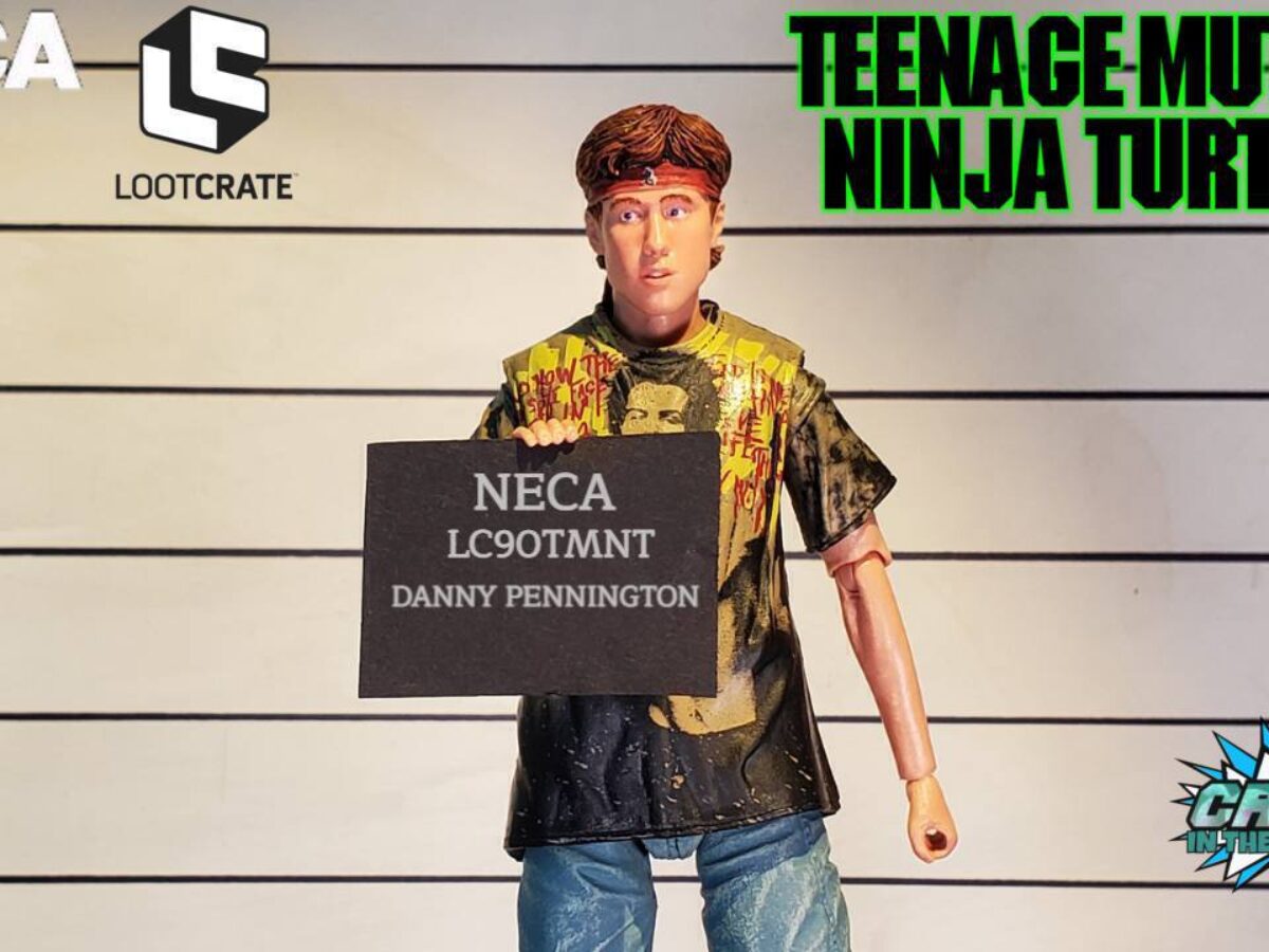 tmnt loot crate danny