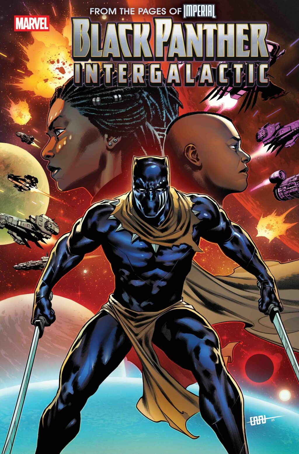 T CHALLA FIGHTS HIS WAY BACK TO THE WAKANDAN THRONE IN BLACK PANTHER 